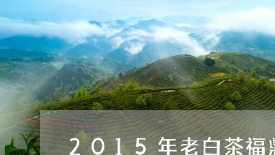 2015年老白茶福鼎白茶/2023033041694