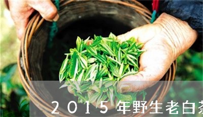 2015年野生老白茶茶饼/2023033018493