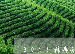 2015福鼎白茶价格贡眉/2023033002259