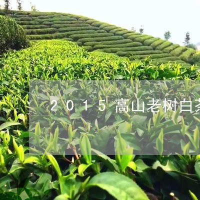 2015高山老树白茶树涵/2023033010503