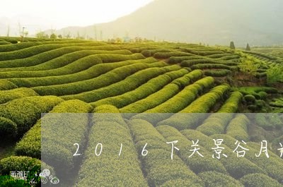 2016下关景谷月光白茶/2023033024806