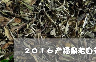 2016产福鼎老白茶价格/2023033020683