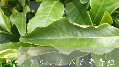 2016八角亭昔归/2023031974725