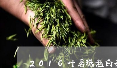 2016叶茗珠老白茶价格/2023033092946