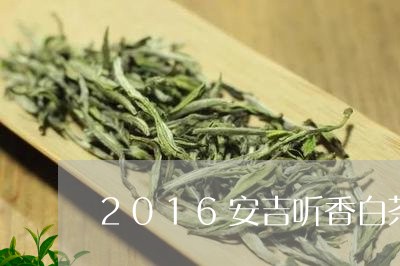 2016安吉听香白茶价格/2023033072706