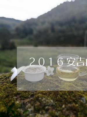 2016安吉白茶雅香典藏/2023033062736