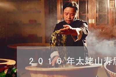 2016年太姥山寿眉茶饼/2023033004937