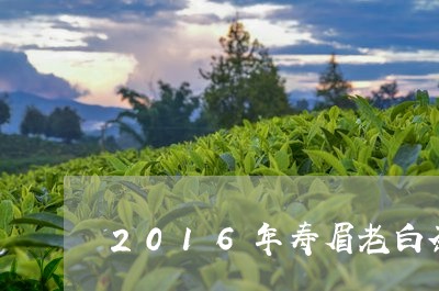 2016年寿眉老白茶冲泡/2023033069482