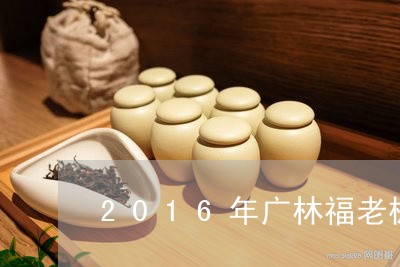 2016年广林福老枞白茶/2023033085928