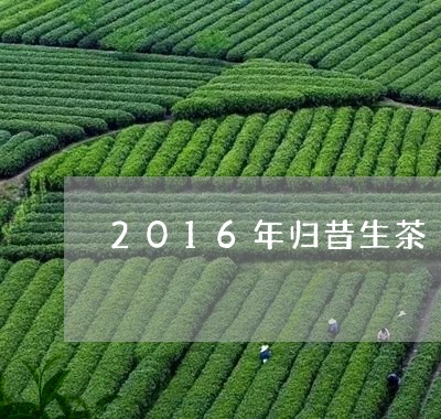 2016年归昔生茶/2023032220726