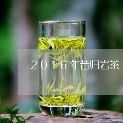 2016年昔归岩茶/2023041412825