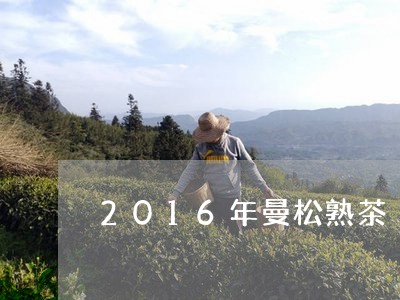 2016年曼松熟茶/2023041439864