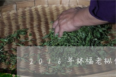 2016年林福老枞白茶/2023033026382