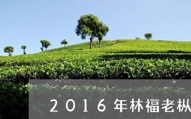 2016年林福老枞白茶/2023033085928