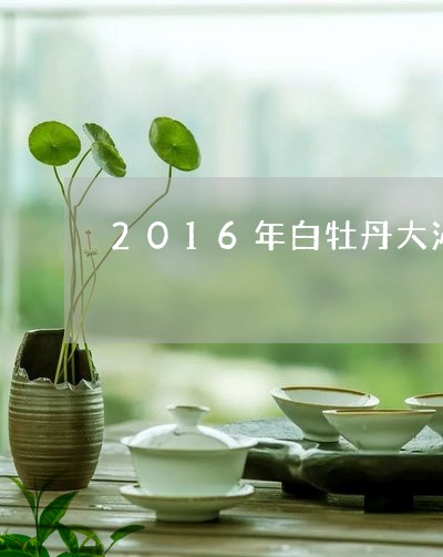 2016年白牡丹大沁白茶/2023033026037