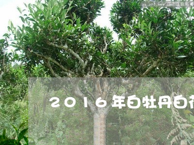 2016年白牡丹白茯茶鼎/2023033012824