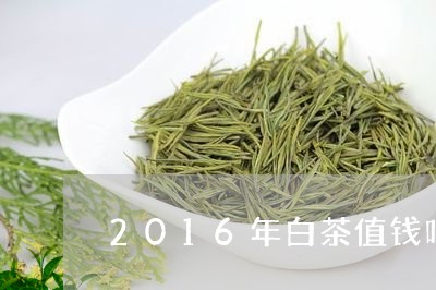 2016年白茶值钱吗/2023033042735