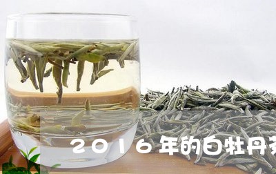 2016年的白牡丹茶价格/2023033080392