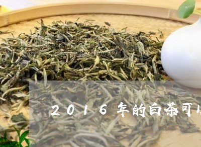 2016年的白茶可以喝吗/2023033078793