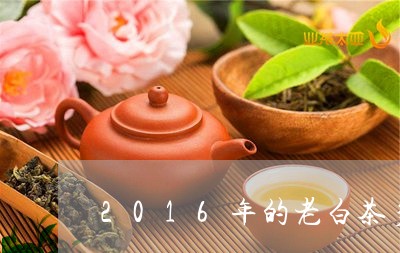 2016年的老白茶多少钱/2023033041625