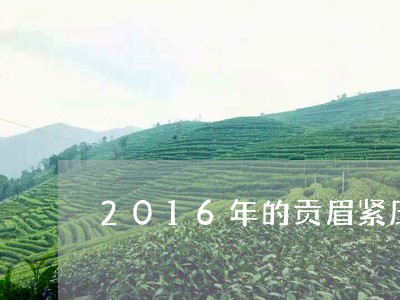 2016年的贡眉紧压白茶/2023033094716