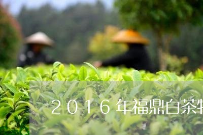 2016年福鼎白茶牡丹王/2023033052250