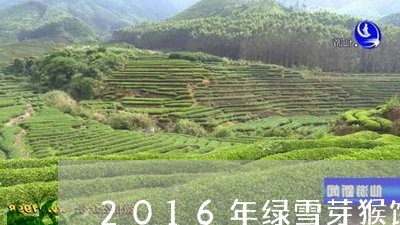 2016年绿雪芽猴饼白茶/2023033083836