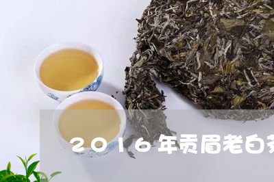 2016年贡眉老白茶价格/2023033085369