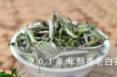 2016年醇香老白茶价格/2023033020595