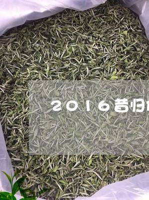 2016昔归价格/2023032652615