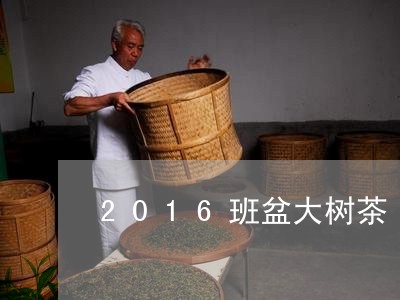 2016班盆大树茶/2023032094160