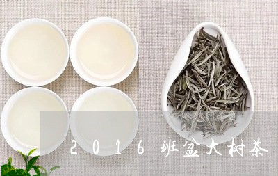 2016班盆大树茶/2023041638262