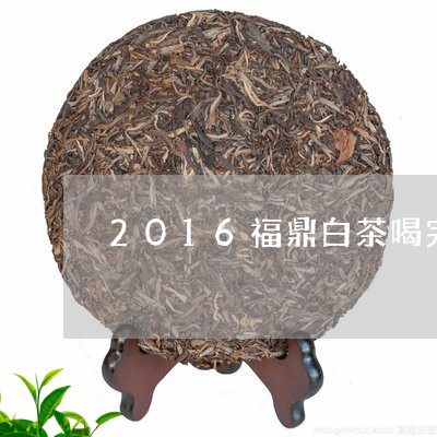 2016福鼎白茶喝完口干/2023033086271