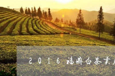 2016福鼎白茶贡眉散茶/2023033053505