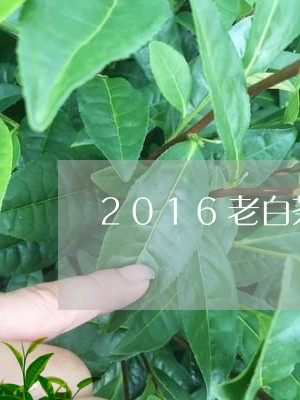 2016老白茶礼盒装价格/2023033060783