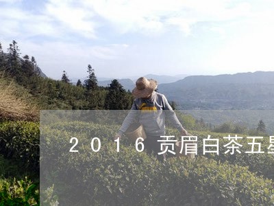 2016贡眉白茶五星茶皇/2023033034248