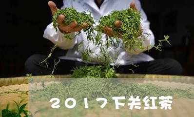 2017下关红茶/2023032406848