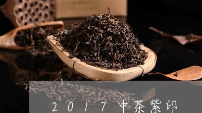 2017中茶紫印/2023032586489