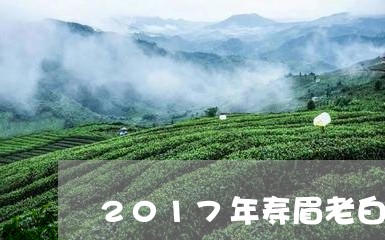 2017年寿眉老白茶知秋/2023033072738