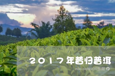 2017年昔归普洱/2023031873360