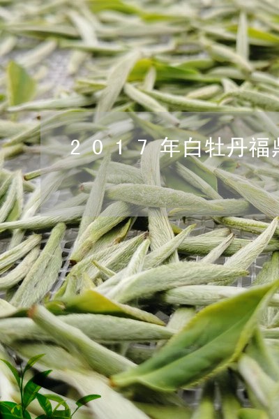 2017年白牡丹福鼎白茶/2023033002837