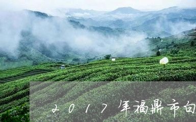 2017年福鼎市白茶产量/2023033049403