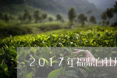 2017年福鼎白牡丹白茶/2023033056482