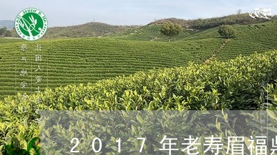 2017年老寿眉福鼎白茶/2023033020415