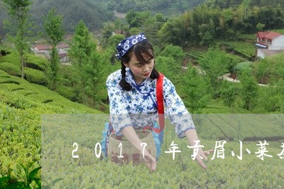 2017年贡眉小菜茶散茶/2023033001805