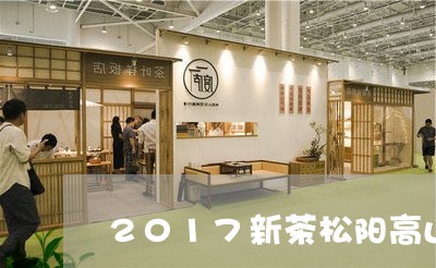 2017新茶松阳高山白茶/2023033018351