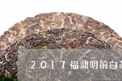 2017福鼎明前白茶价格/2023033094727