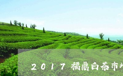 2017福鼎白茶市场价格/2023033025058