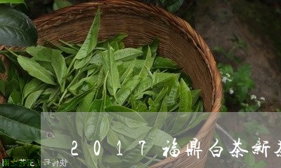 2017福鼎白茶新茶价格/2023033003705