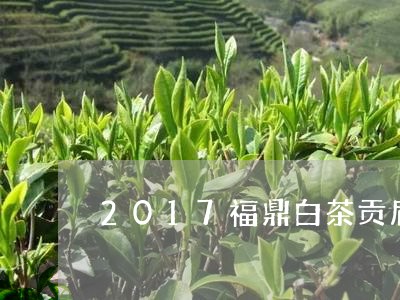 2017福鼎白茶贡眉价格/2023033097159